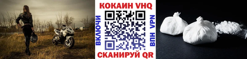 Купить закладки  Шуя  COCAIN Эквадор 