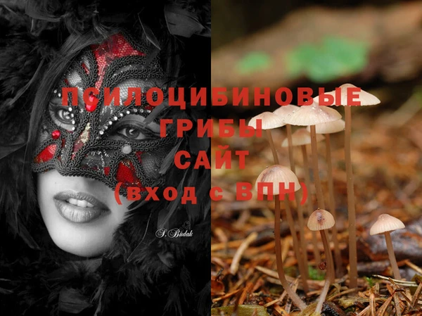 прущая мука Киренск