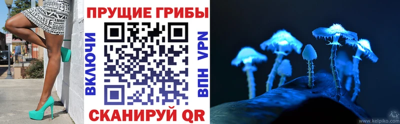 Галлюциногенные грибы Cubensis  Купить закладки  Шуя 