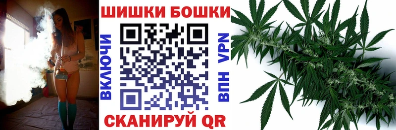 Купить закладки  Шуя  Каннабис марихуана 